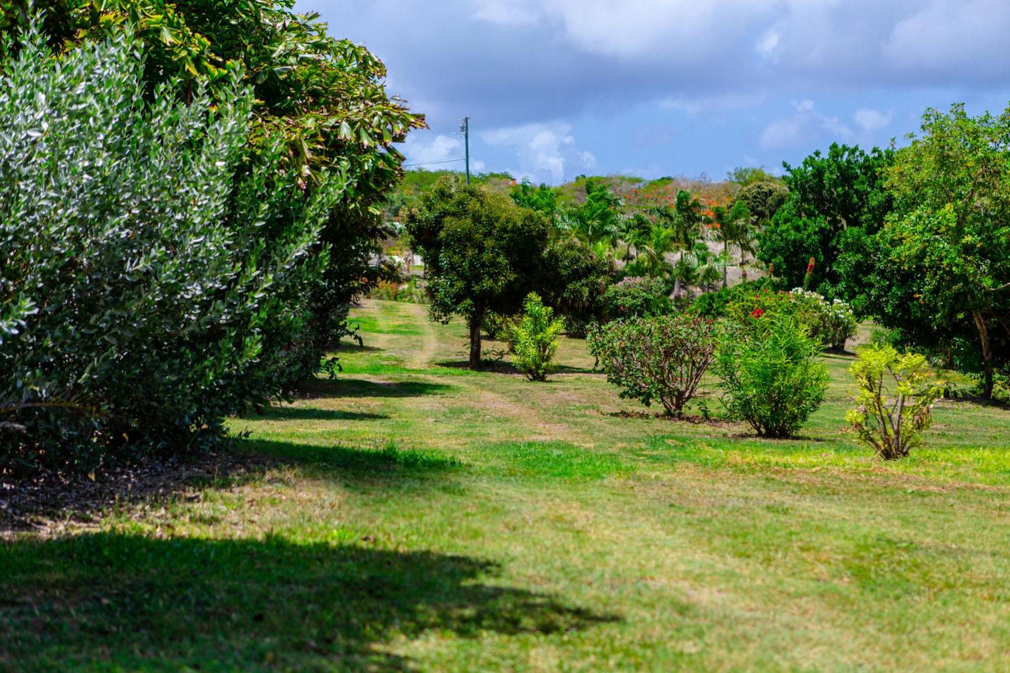 Hotel Escape At Nonsuch Bay Antigua (Adults Only) Gaynors Zewnętrze zdjęcie