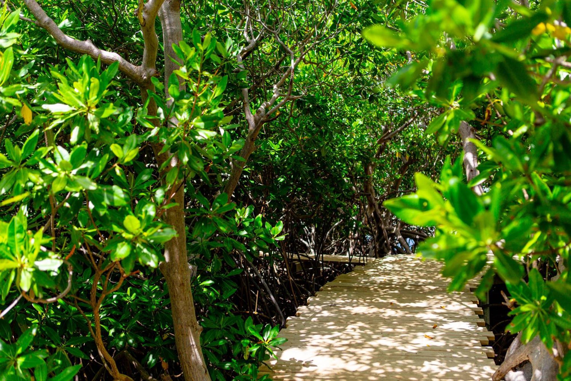 Hotel Escape At Nonsuch Bay Antigua (Adults Only) Gaynors Zewnętrze zdjęcie